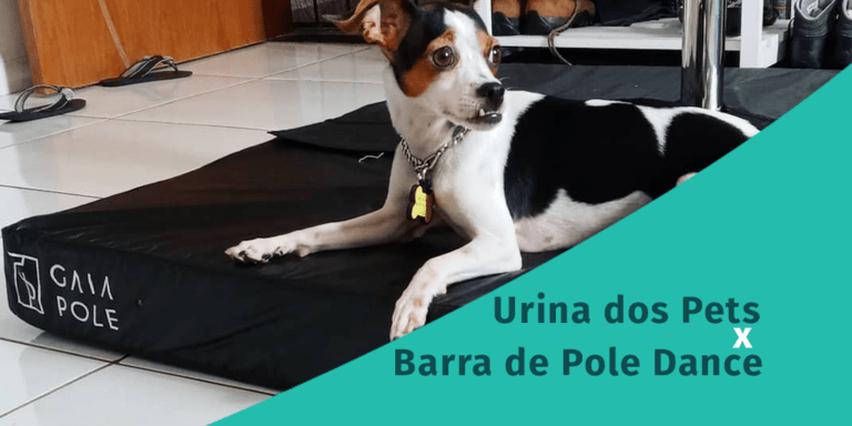 Urina dos Pets x Barra de Pole Dance