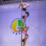 POLE REMOVÍVEL ESTÁTICO POLE REMOVÍVEL ESTÁTICO